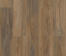 Edinburgh Oak Swatch