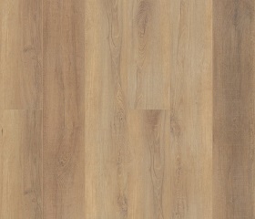 CANTERBURY ELM Swatch