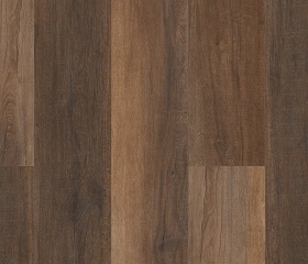 Cheshire Elm Swatch Thumbnail